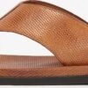 Kazar Slippers Teenslippers Heren Karamel 2 Kazar Slippers Teenslippers Heren Karamel -Herenschoenen Winkel 080dbdbe79e7aa39c287a82385a5bbab