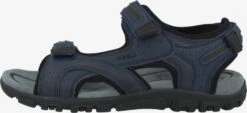 Geox Sandalen & Pantoffels Sandalen Strada Heren Marine 11 Geox Sandalen & Pantoffels Sandalen Strada Heren Marine -Herenschoenen Winkel 1ab4ab262c5606ed53634bcfc45d41f5