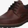 Lloyd Casual Veterschoenen Veterschoen Vanja Heren Bruin -Herenschoenen Winkel 234537a03023631f4a516beba0f3c067
