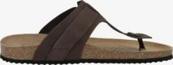 Geox Slippers Teenslippers Ghita Heren Bruin -Herenschoenen Winkel 349e3bca5e8c3307a1a100b79f1fb8d7