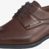 Lloyd Trending Veterschoen Godwin Heren Donkerbruin -Herenschoenen Winkel 3b6f71f4b93f95b26c8093a4ec793587