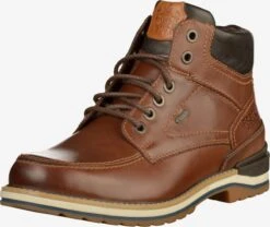 Boots & Laarzen Veterboots Heren Bruin / Donkerbruin