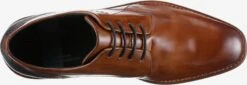 Bugatti Nette Schoenen Veterschoen Heren Cognac -Herenschoenen Winkel 4b218fed998a6bdce3962b52c0800efd
