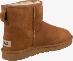 Ugg Boots & Laarzen Laarzen Heren Roestbruin -Herenschoenen Winkel 4b3ce67bc0ede5d72bee8c876a7639a4