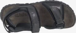 Josef Seibel Sandalen & Pantoffels Sandalen Canim Heren Zwart -Herenschoenen Winkel 4bc36b4083adf02b199c571eb9fb850e