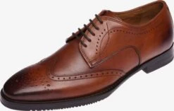 Nette Schoenen Veterschoen Heren Roestbruin