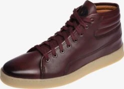 Hoge Sneakers Sneakers Hoog Heren Bourgogne