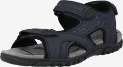 Geox Sandalen & Pantoffels Sandalen Strada Heren Marine