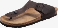 Rohde Slippers Teenslippers Grado Heren Bruin