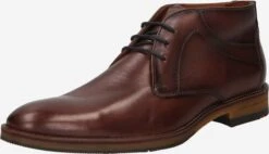 Lloyd Veterboots Chukka Boots Hastings Heren Donkerbruin
