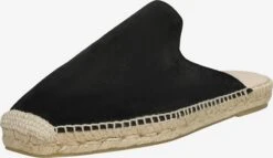 Lage Schoenen Espadrilles Taylor Heren Zwart