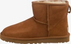 Ugg Boots & Laarzen Laarzen Heren Roestbruin -Herenschoenen Winkel a98e8f0958d46e6f7ac381cdff4c7373