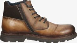 Bugatti Boots & Laarzen Veterboots Heren Kastanjebruin 12 Bugatti Boots & Laarzen Veterboots Heren Kastanjebruin -Herenschoenen Winkel ac04580cd4f1bae4e1fee2ea345b4683