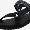 Calvin Klein Jeans Sandalen & Pantoffels Regular Sandalen PREFRESATO Heren Zwart -Herenschoenen Winkel b29449bfdc452c0922f29e5487e232de