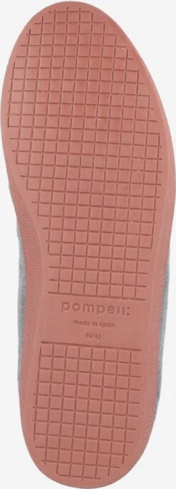 Pompeii Skate Sneakers Sneakers Laag Heren Grijs Gemêleerd -Herenschoenen Winkel bb8e6a5e6104286239dae419f2a80248