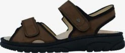 Finn Comfort Sandalen & Pantoffels Sandalen Heren Bruin 10 Finn Comfort Sandalen & Pantoffels Sandalen Heren Bruin -Herenschoenen Winkel c2f9eb851c8e39f1982d9247c16cc234