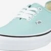 Vans Skate Sneakers Sneakers Laag Heren Blauw -Herenschoenen Winkel c935f5d9eb8522f6c58fa065b8502289