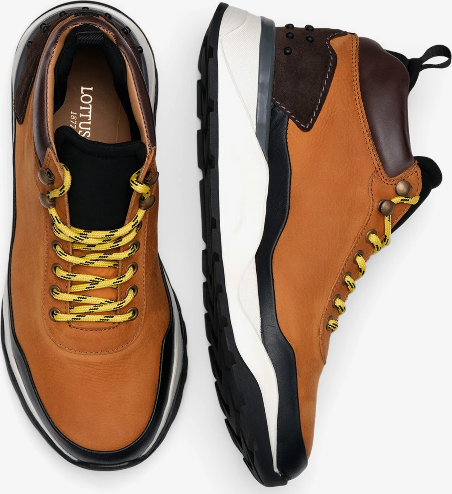 Lottusse Hoge Sneakers Sneakers Hoog Osaka Heren Bruin / Lichtbruin 7 Lottusse Hoge Sneakers Sneakers Hoog Osaka Heren Bruin / Lichtbruin - Afbeelding 5