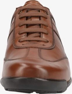 Geox Fashion Sneakers Sneakers Laag Edgeware Heren Bruin 12 Geox Fashion Sneakers Sneakers Laag Edgeware Heren Bruin -Herenschoenen Winkel e17ca00b1259824ef9ee79399ce5d025