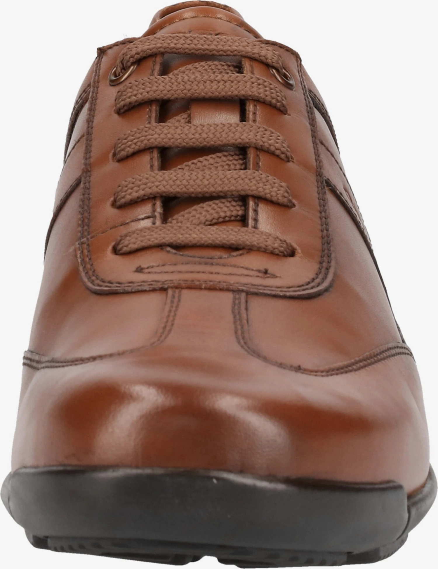 Geox Fashion Sneakers Sneakers Laag Edgeware Heren Bruin 6 Geox Fashion Sneakers Sneakers Laag Edgeware Heren Bruin - Afbeelding 4