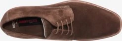 Lloyd Trending Veterschoen Hadley Heren Bruin -Herenschoenen Winkel ec35ab0bbf27398e471a867b35255606
