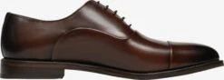Nette Schoenen Veterschoen Marshall CO1 Heren Bruin -Herenschoenen Winkel f82d236d98e0aee74c6565bc7e4a7629